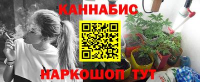 сатива Пугачёв
