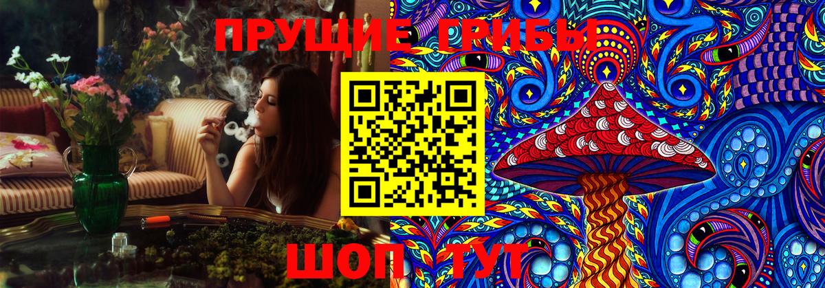 купить  сайты  Вход с VPN  Саранск  Псилоцибиновые грибы MAGIC MUSHROOMS 