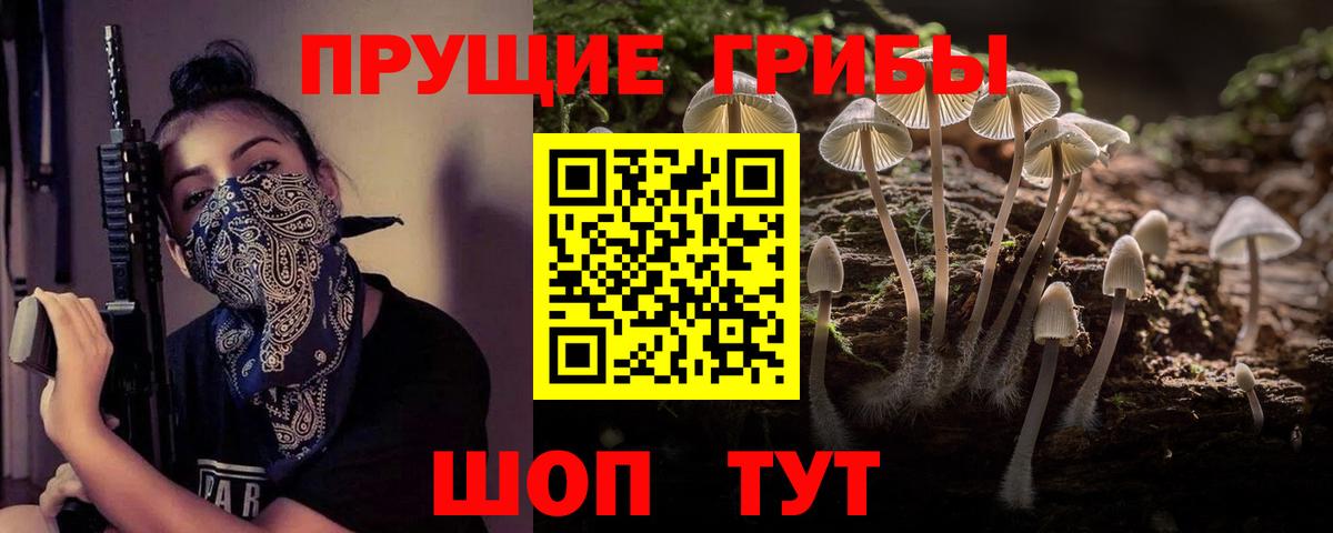 Псилоцибиновые грибы ЛСД Саранск
